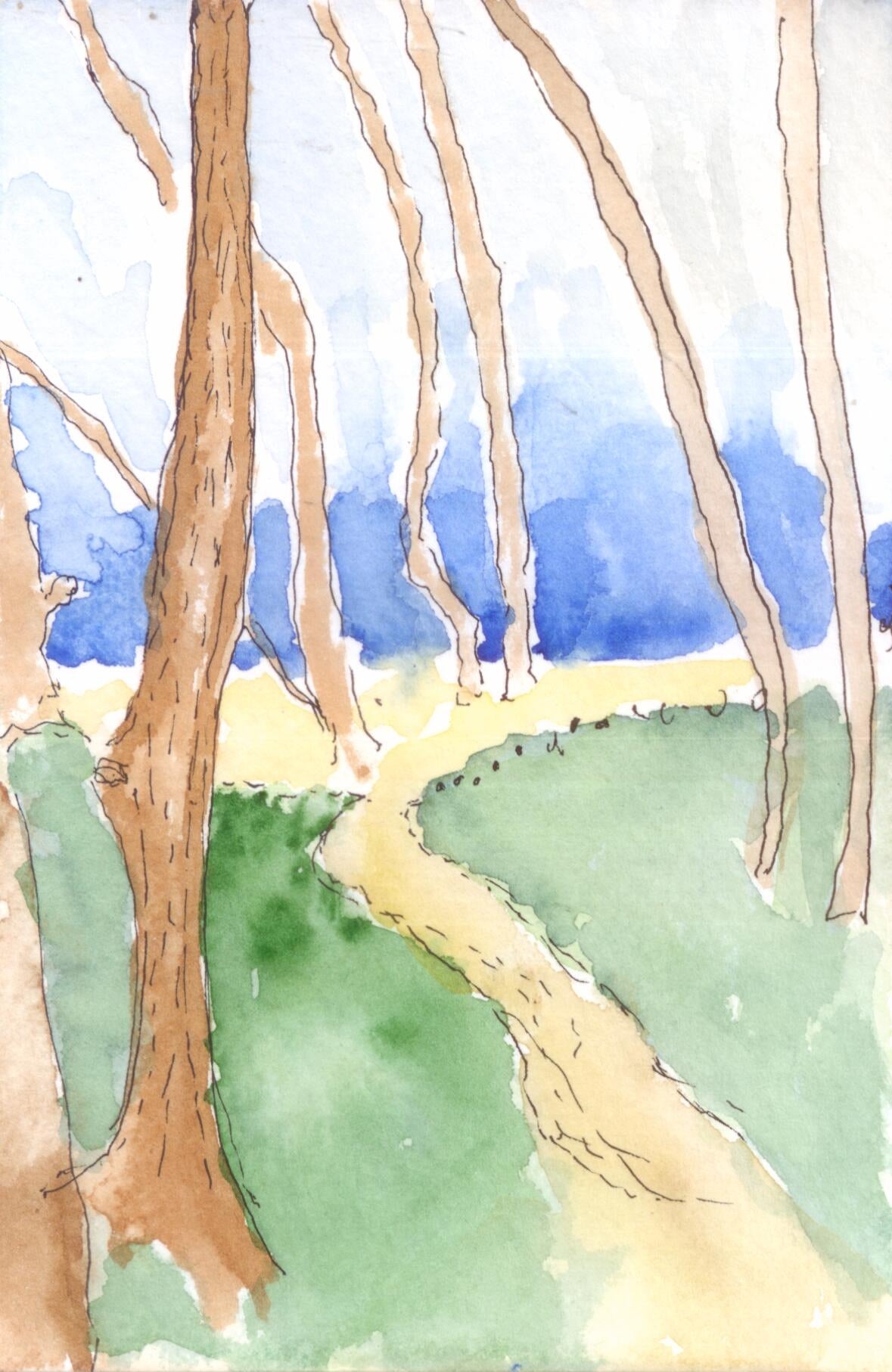 11.Windward.dune.path