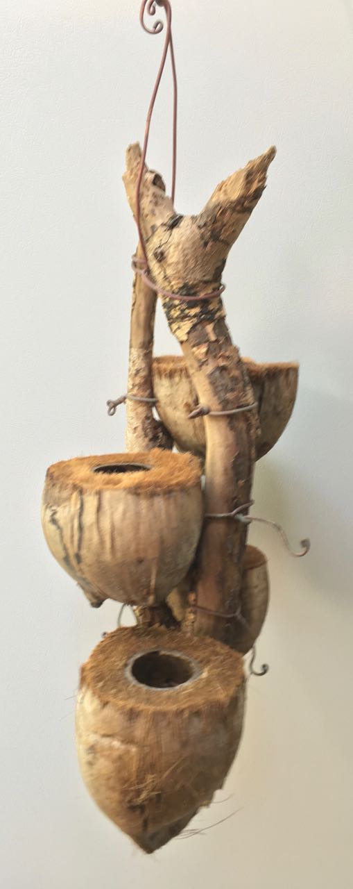 CocoDrifter #28- Kailua Beach Driftwood and coconut husk hanging planter sculpture