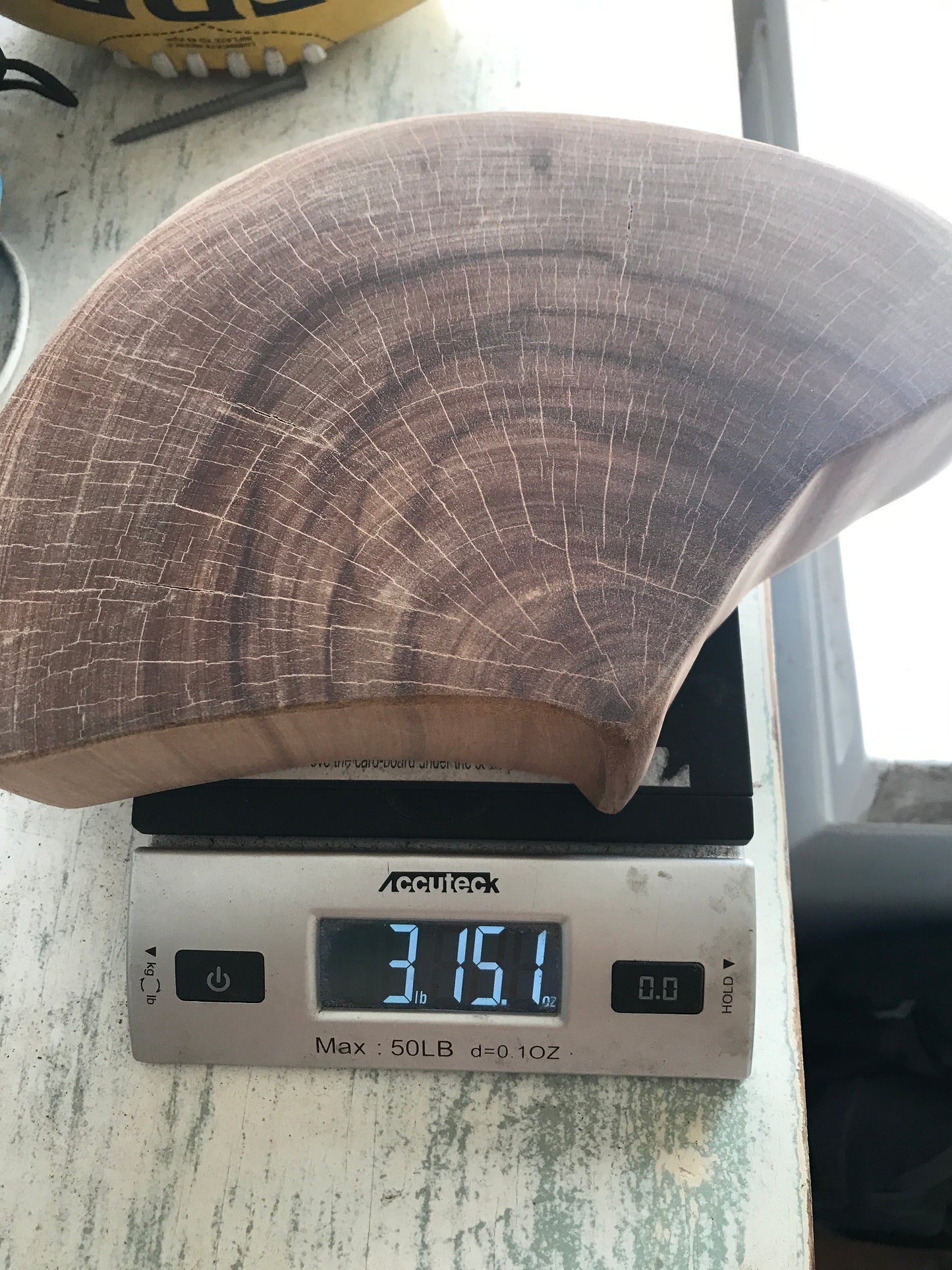 Kailua Beach, Hawaii, Coastal Erosion Ironwood flower shaped block