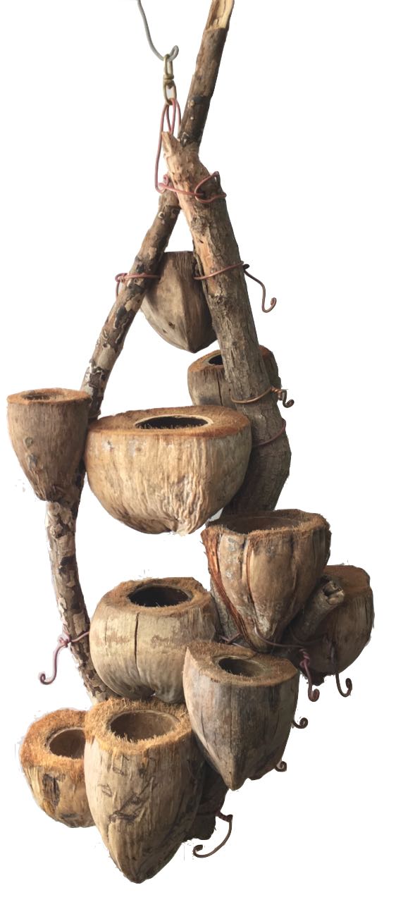 coconut husk pots for plants CocoDrifter #10- Kailua Beach Driftwood and coconut husk hanging plant – B.C. FRaME