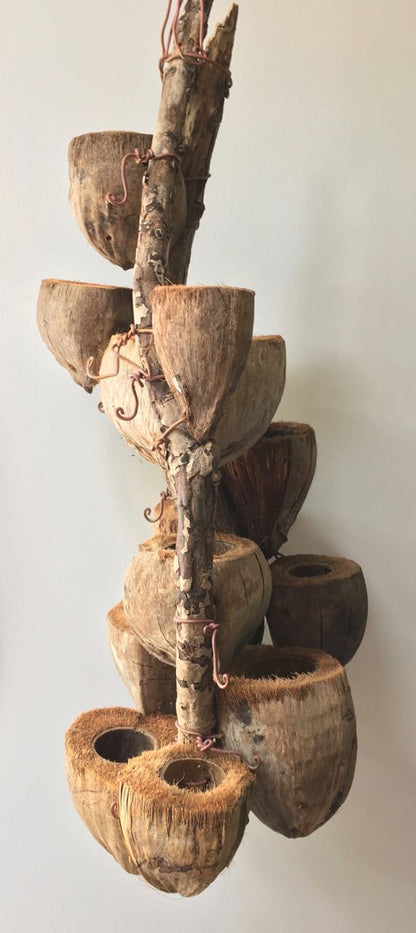 CocoDrifter #10- Kailua Beach Driftwood and coconut husk hanging planter sculpture