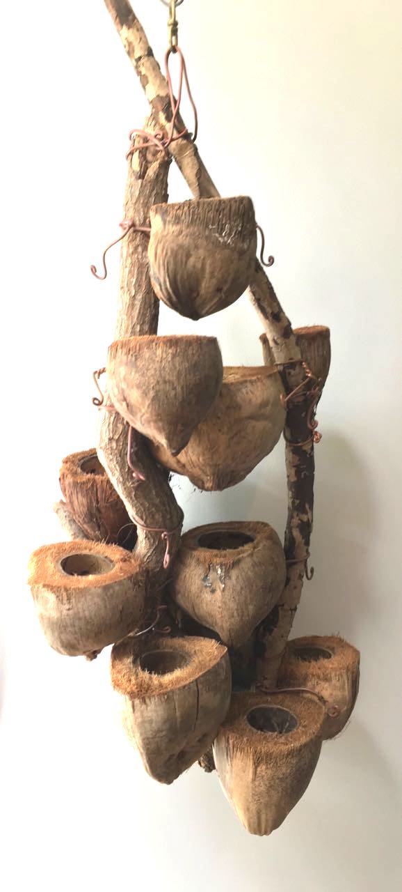 CocoDrifter #10- Kailua Beach Driftwood and coconut husk hanging planter sculpture