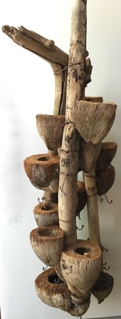 CocoDrifter #40- Kailua Beach Driftwood and coconut husk hanging planter sculpture