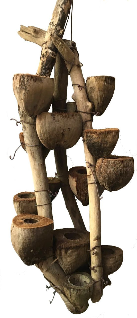 CocoDrifter #40- Kailua Beach Driftwood and coconut husk hanging planter sculpture