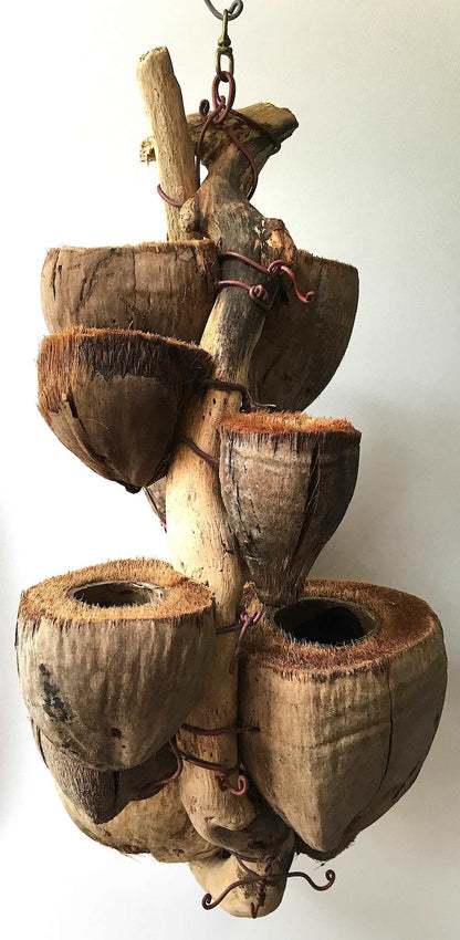 CocoDrifter - Kailua Beach Driftwood and coconut husk hanging planter sculpture